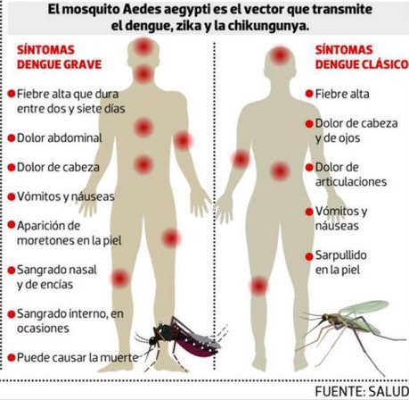 Alerta Dengue en Honduras : Información Sobre: : Enfermedades, Pandemias y  Programas : Biblioteca Virtual en Salud de Honduras