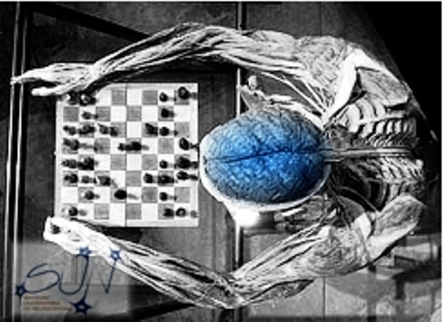 Blue Game