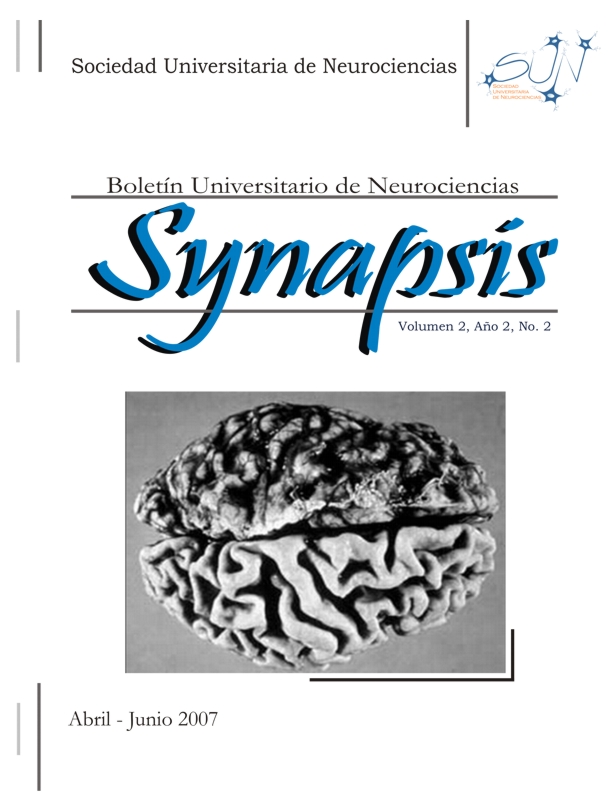SYNAPSIS 2007 2(2)