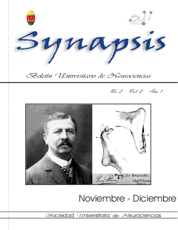 SYNAPSIS 2006 1(2)