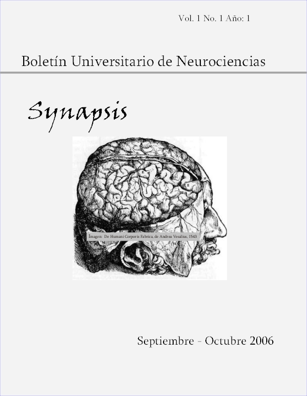 SYNAPSIS 2006 1(1)