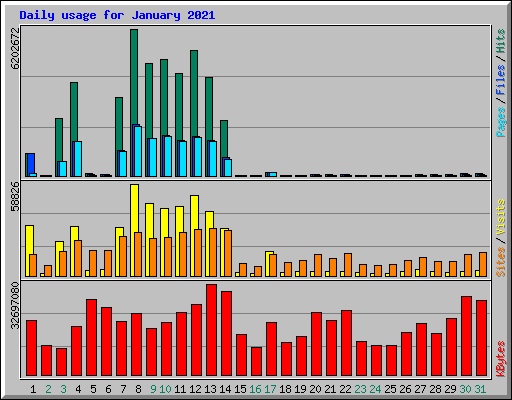 Daily usage for January 2021