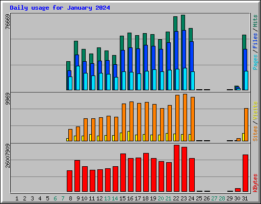 Daily usage for January 2024