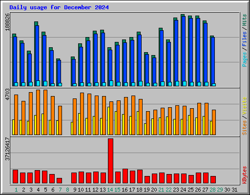 Daily usage for December 2024