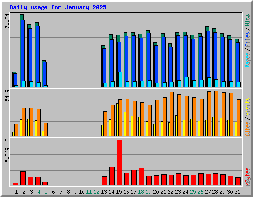 Daily usage for January 2025