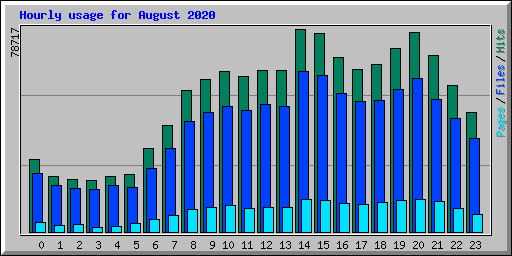 Hourly usage for August 2020