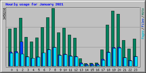 Hourly usage for January 2021