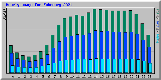 Hourly usage for February 2021