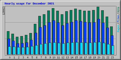 Hourly usage for December 2021