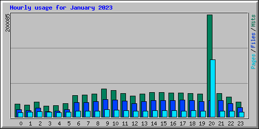 Hourly usage for January 2023