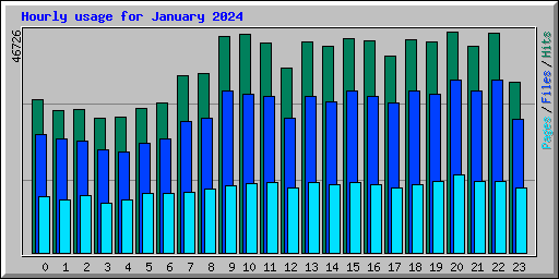 Hourly usage for January 2024