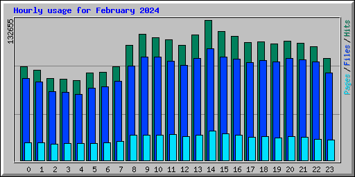 Hourly usage for February 2024