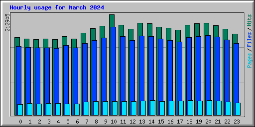 Hourly usage for March 2024