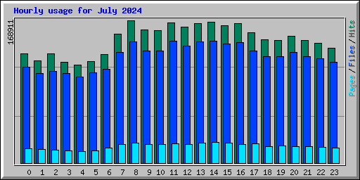 Hourly usage for July 2024