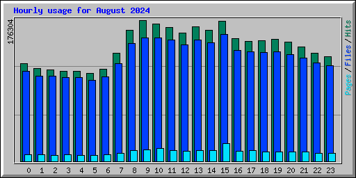 Hourly usage for August 2024