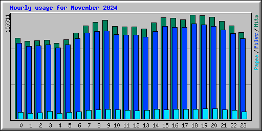 Hourly usage for November 2024