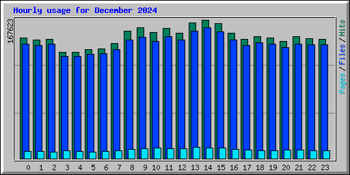 Hourly usage for December 2024