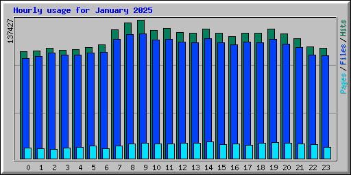Hourly usage for January 2025