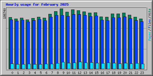 Hourly usage for February 2025
