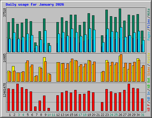 Daily usage for January 2026
