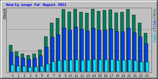Hourly usage for August 2021