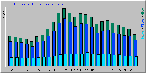 Hourly usage for November 2023