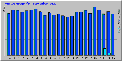 Hourly usage for September 2025