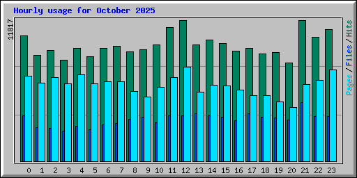 Hourly usage for October 2025