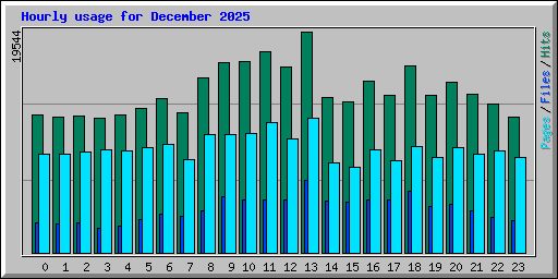Hourly usage for December 2025