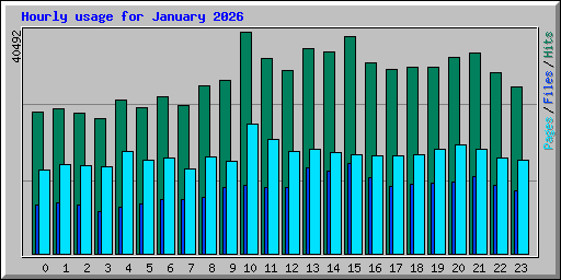 Hourly usage for January 2026