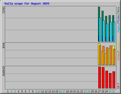Daily usage for August 2025