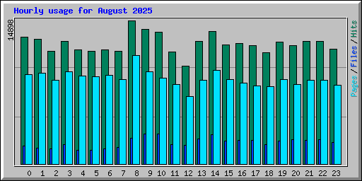 Hourly usage for August 2025