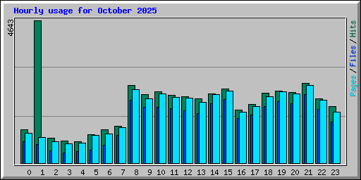 Hourly usage for October 2025