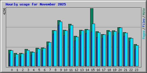 Hourly usage for November 2025