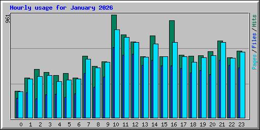Hourly usage for January 2026