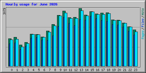 Hourly usage for June 2026