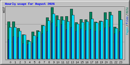 Hourly usage for August 2026